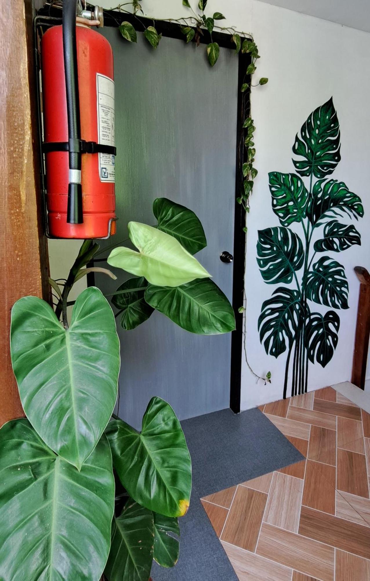 Bougainvillea Guesthouse San Juan  Exterior photo